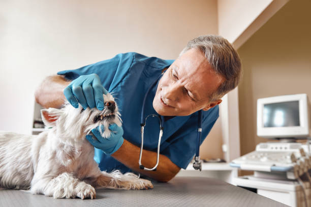 Emergency Dentist Open Today in PA